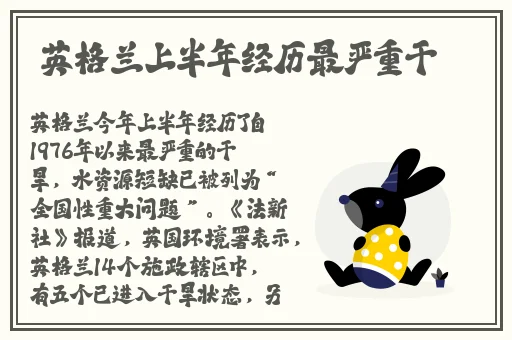 缅甸北部血腥网站2023