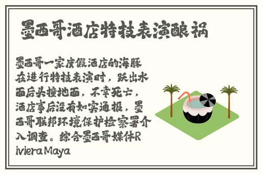 亚洲精品国产自在在线观看